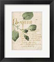 Herb Study III Framed Print