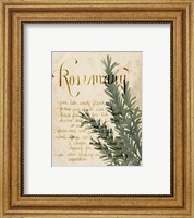 Framed 'Herb Study IV' border=