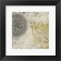 Coastal Cameo IX Framed Print