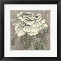 Silver Rose I Framed Print