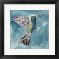 Framed Watercolor Hummingbird I