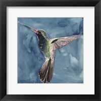 Framed Watercolor Hummingbird II