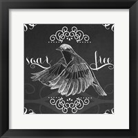 Chalkboard Bird II Framed Print