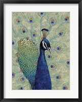 Blue Peacock I Framed Print