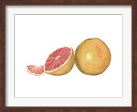 Framed Watercolor Grapefruit