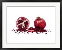 Framed Watercolor Pomegranate