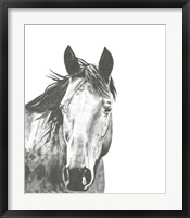 Framed Wildlife Snapshot: Horse I