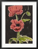 Haloed Poppies I Framed Print