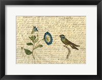 Framed Hummingbird