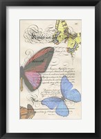 Framed Butterfly