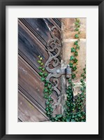 Framed Rose Garden in Bamberg, Germany