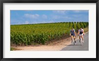 Framed Cyclists in Vineyards of Cote des Blancs