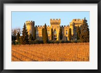 Framed Vineyard with Syrah Vines and Chateau des Fines Roches