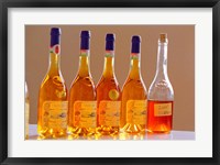 Framed Bottles of Disznoko Winery, Tokaj, Hungary