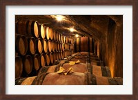 Framed Wooden Barrels with Aging Wine in Cellar