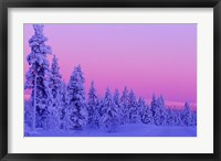 Framed Winter Sunset in Finland