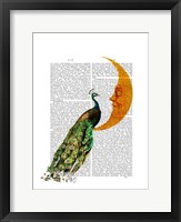 Framed Peacock on the Moon