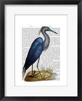 Framed Blue Heron 2