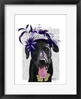 Framed Black Labrador With Blue Fascinator