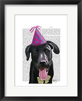 Framed Black Labrador With Party Hat