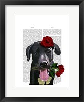 Black Labrador with Roses Framed Print