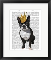 Framed Boston Terrier And Crown