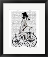 Dalmatian on Bicycle Framed Print