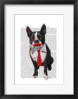 Boston Terrier With Red Tie and Moustache Framed Print