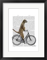Meerkat on Bicycle Framed Print