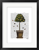 Framed Lemon Tree