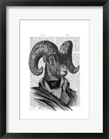 Mountain Goat Portrait Framed Print
