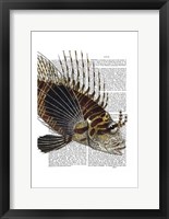 Vintage Spiky Fish Framed Print