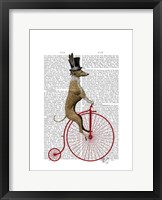 Greyhound on Red Penny Farthing Bike Framed Print