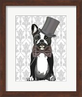 Framed Monsieur Bulldog