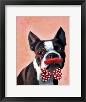 Boston Terrier Portrait with Red Bow Tie and Moustache Framed Print