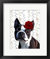 Boston Terrier with Rose on Head Framed Print