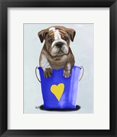 Bulldog Bucket Of Love Blue Framed Print