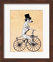 Framed Dalmatian On Bicycle