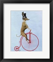 Greyhound on Red Penny Farthing Framed Print