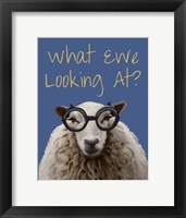 What Ewe Looking At Sheep Print Framed Print