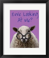 Ewe Looking at Me DeNiro Sheep Framed Print