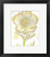 Framed 'Belle Fleur Yellow II Crop' border=