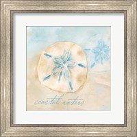 Framed 'Watercolor Shell Sentiments IV' border=