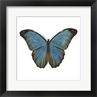 Butterfly Botanical III Framed Print