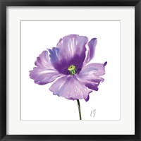 Poppies Tempo IV Framed Print