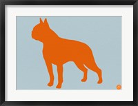 Framed Boston Terrier Orange