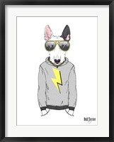 Framed Bull Terrier in City Style