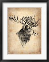 Framed Vintage Moose