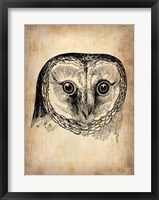 Framed Vintage Owl