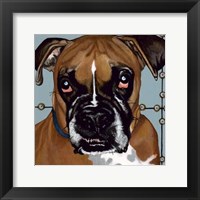Framed Dlynn's Dogs - Rocco